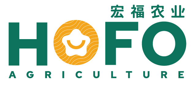 谈球吧入口网页版
